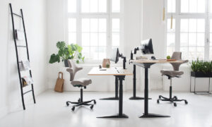 Ergonomic Workplace Design with Professional Ladder Solutions