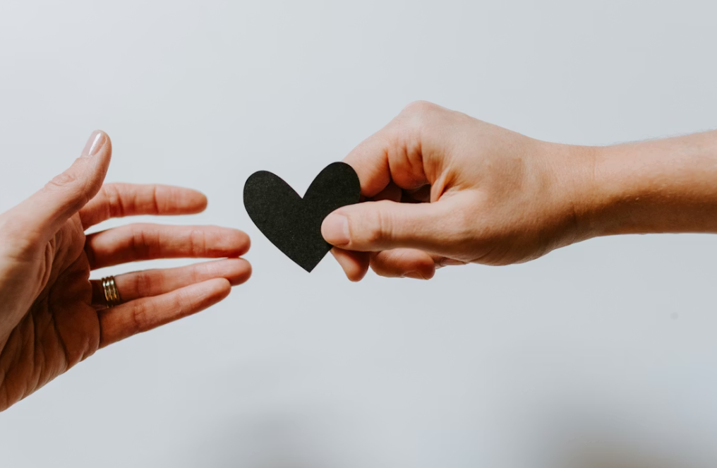 Building a Stronger Mind Through Everyday Mental Wellness Practices